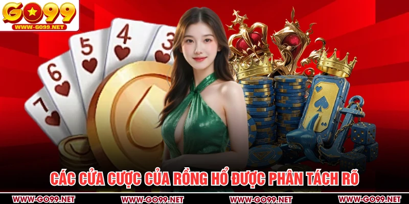 Các cửa cược của Rồng hổ được phân tách rõ