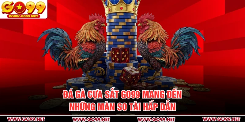 Đá gà cựa sắt GO99 mang đến những màn so tài hấp dẫn