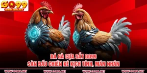 Đá Gà Cựa Sắt GO99 - Sàn Đấu Chiến Kê Kịch Tính, Mãn Nhãn