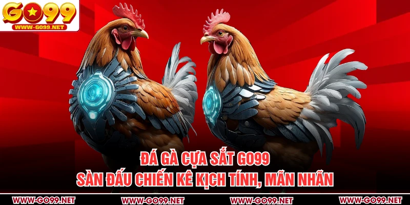 Đá Gà Cựa Sắt GO99 - Sàn Đấu Chiến Kê Kịch Tính, Mãn Nhãn