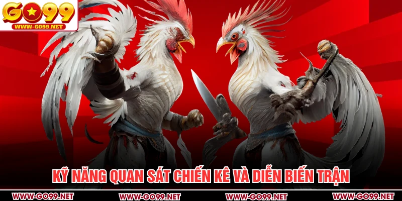Kỹ năng quan sát chiến kê và diễn biến trận