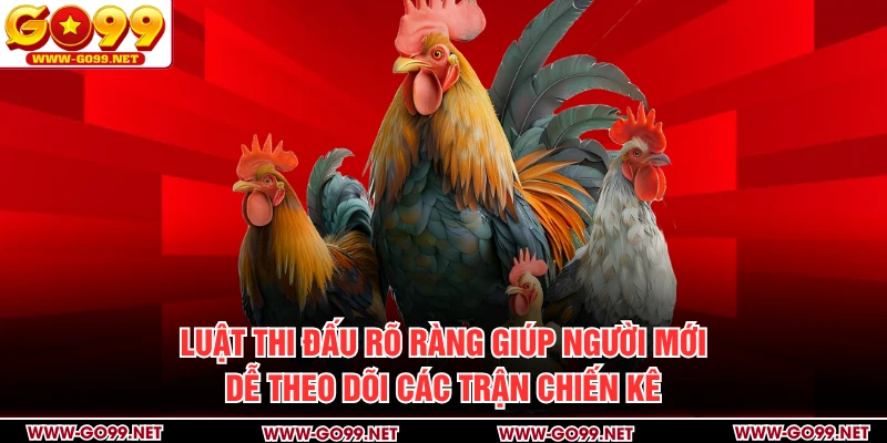 Luật thi đấu rõ ràng giúp người mới dễ theo dõi các trận chiến kê