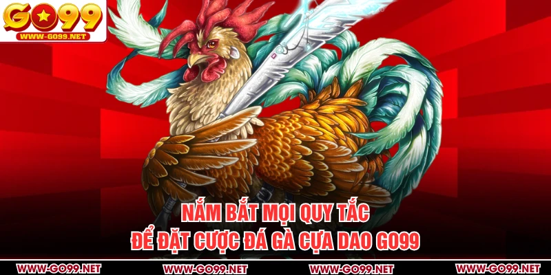 Nắm bắt mọi quy tắc để đặt cược đá gà cựa dao GO99