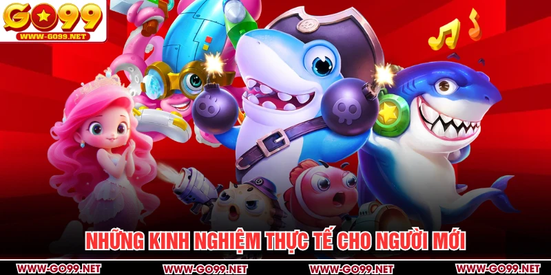Những kinh nghiệm hữu ích và thực tế cho người mới