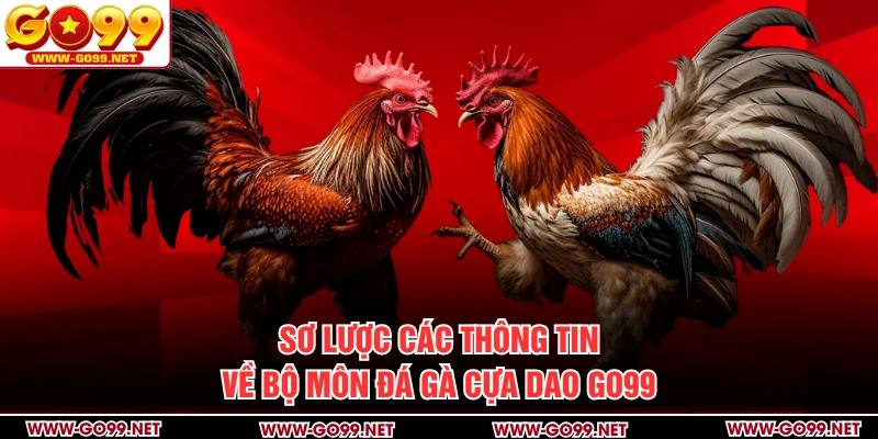 Sơ lược các thông tin về bộ môn đá gà cựa dao GO99