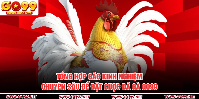 Tổng hợp các kinh nghiệm chuyên sâu để đặt cược đá gà GO99
