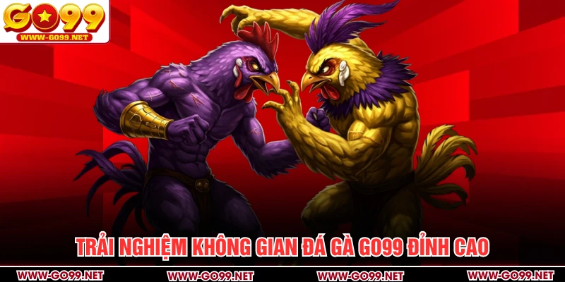 Trải nghiệm không gian đá gà GO99 đỉnh cao